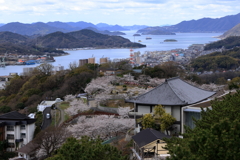 千光寺 (4) 250403-045