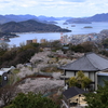 千光寺 (4) 250403-045