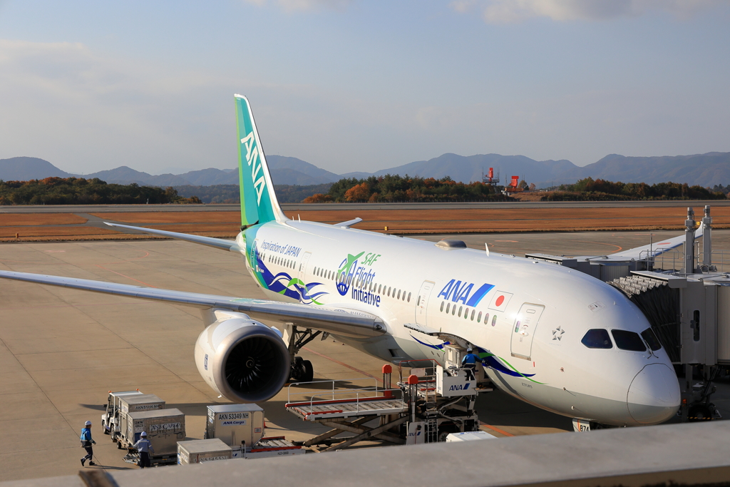 緑のANA (2) 231124-310