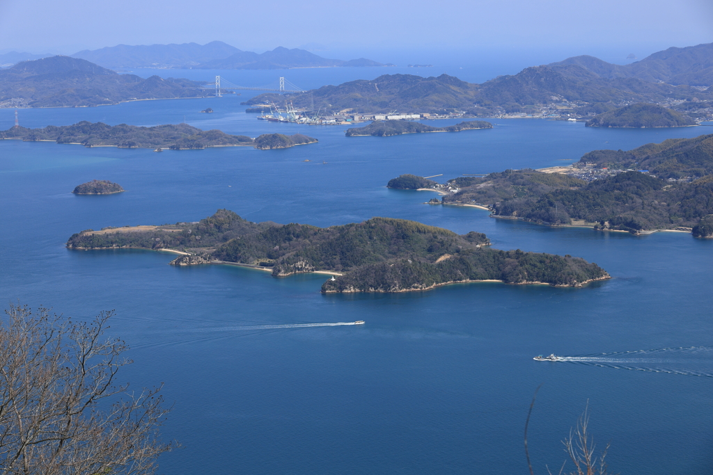 竜王山から (3) 250404-915