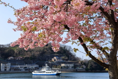 春近し 260312-184