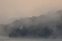 瀬戸内の海霧 (2) 251230-746