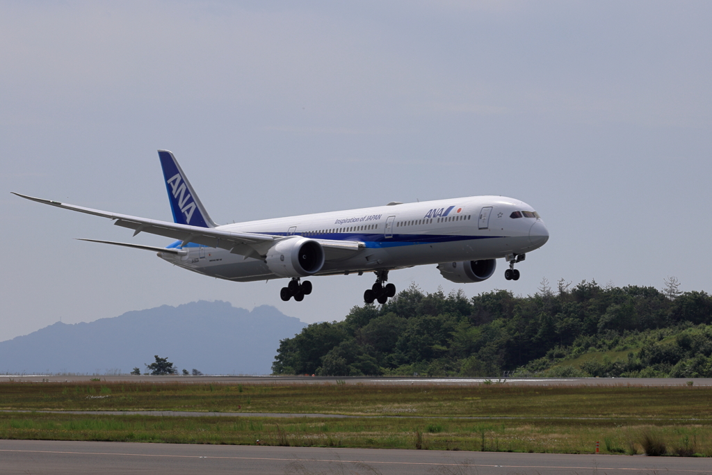 ANA 787-10(78K) ② 250618-350