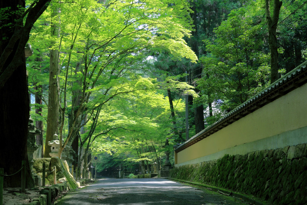 夏の佛通寺 2016.08.05