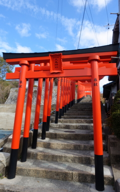 連立大鳥居(1) 240216-041