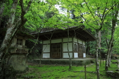 新緑の佛通寺(2) 210602-273