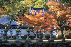 仏通寺紅葉