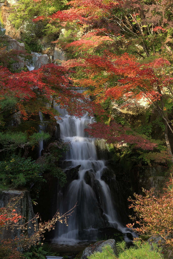 三景園 (2) 251114-124