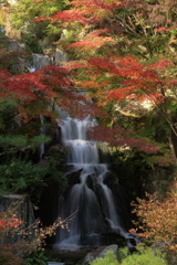 三景園 (2) 251114-124