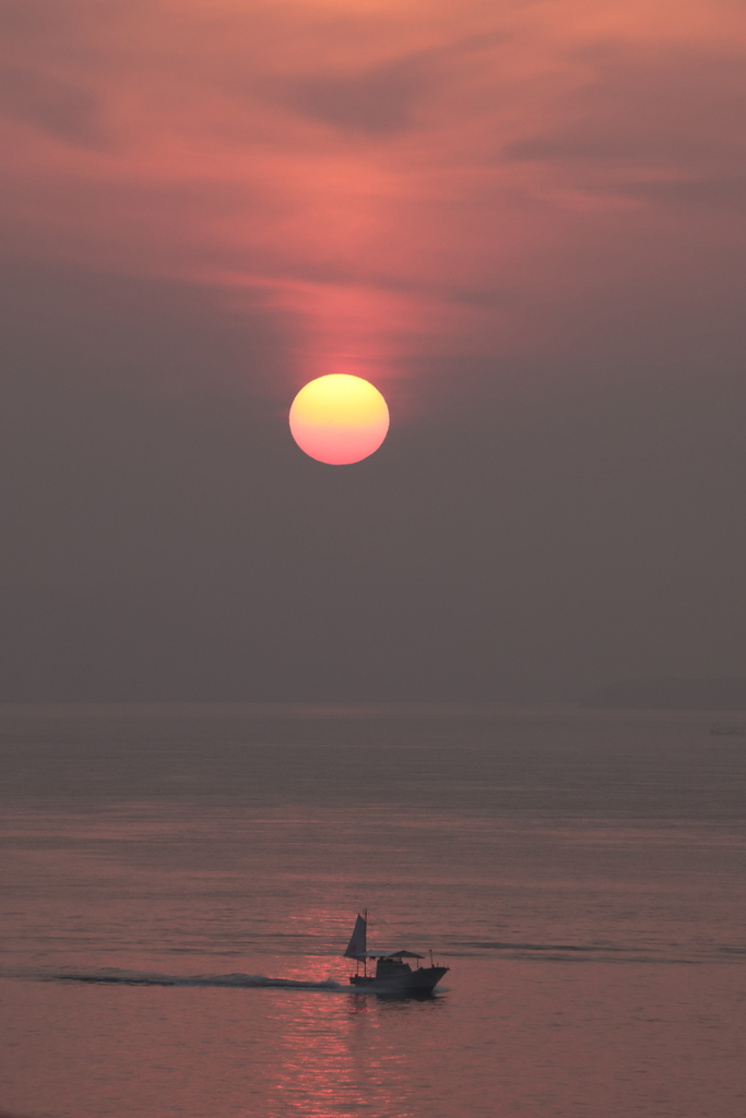 瀬戸内の朝(2) 180622-779