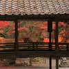今高野山龍華寺 (5) 251121-228