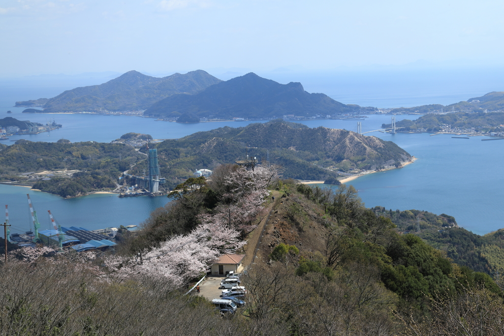 積善山三千本桜(1) 200402-909