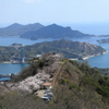 積善山三千本桜(1) 200402-909