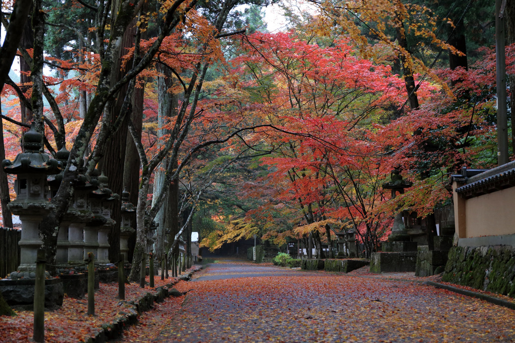 佛通寺 (6) 15.11.09