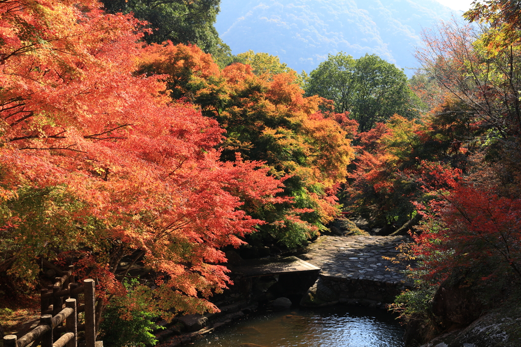 三郎の滝 (3) 221109-2116