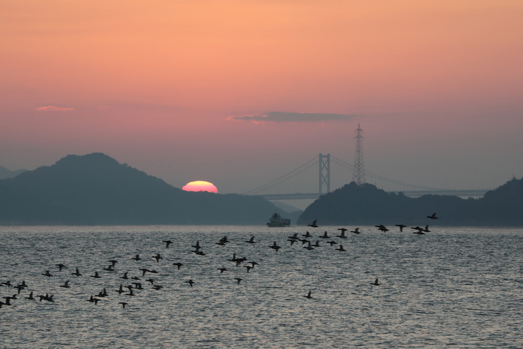 因島大橋の日の出 181105-990