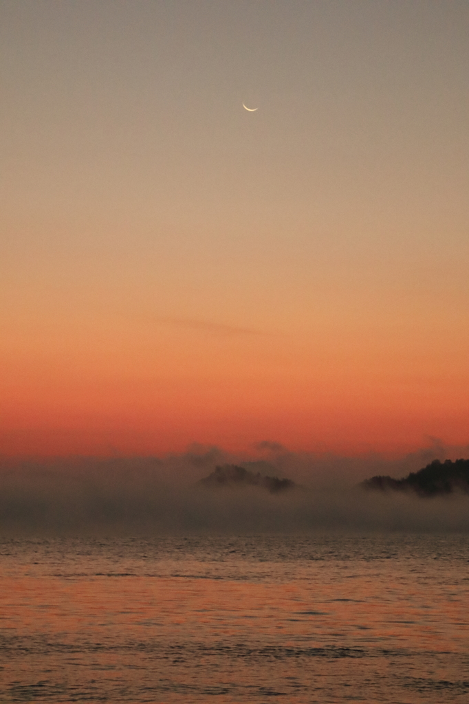 海霧 (3) 14.11.21
