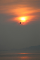 瀬戸内の夜明け(2)  170716-2