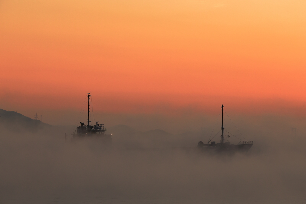 海霧の朝 (3) 251219-487