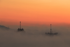 海霧の朝 (3) 251219-487