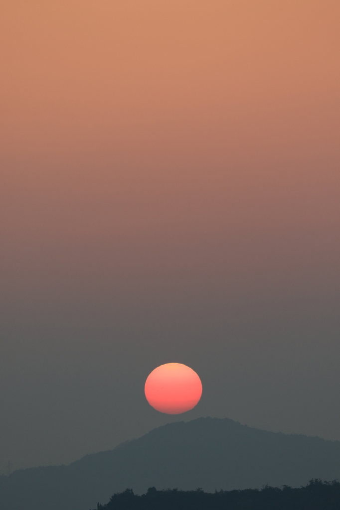 今朝の２枚（２）15.05.10