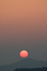 今朝の２枚（２）15.05.10