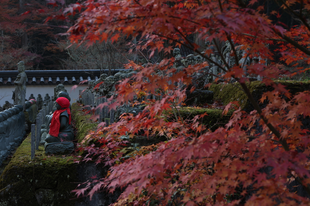 佛通寺 (4) 251130-310