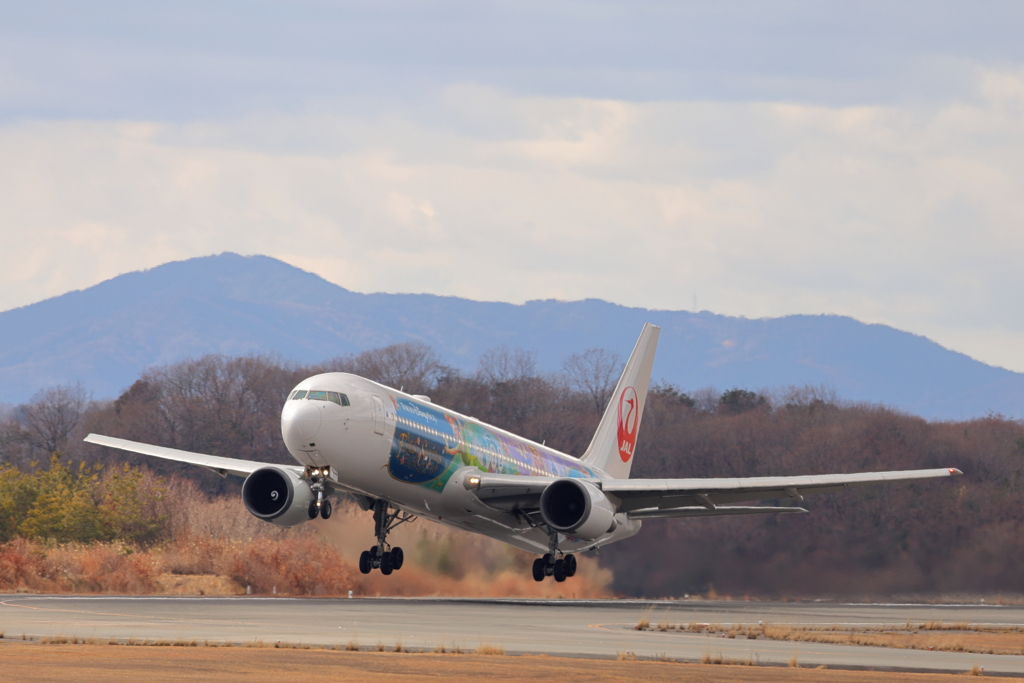 JAL 特別塗装機 250126-495