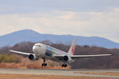 JAL 特別塗装機 250126-495