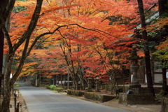 佛通寺(3) 16.11.18