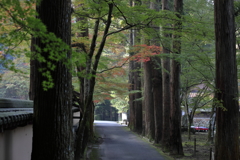 佛通寺(5) 171102-6