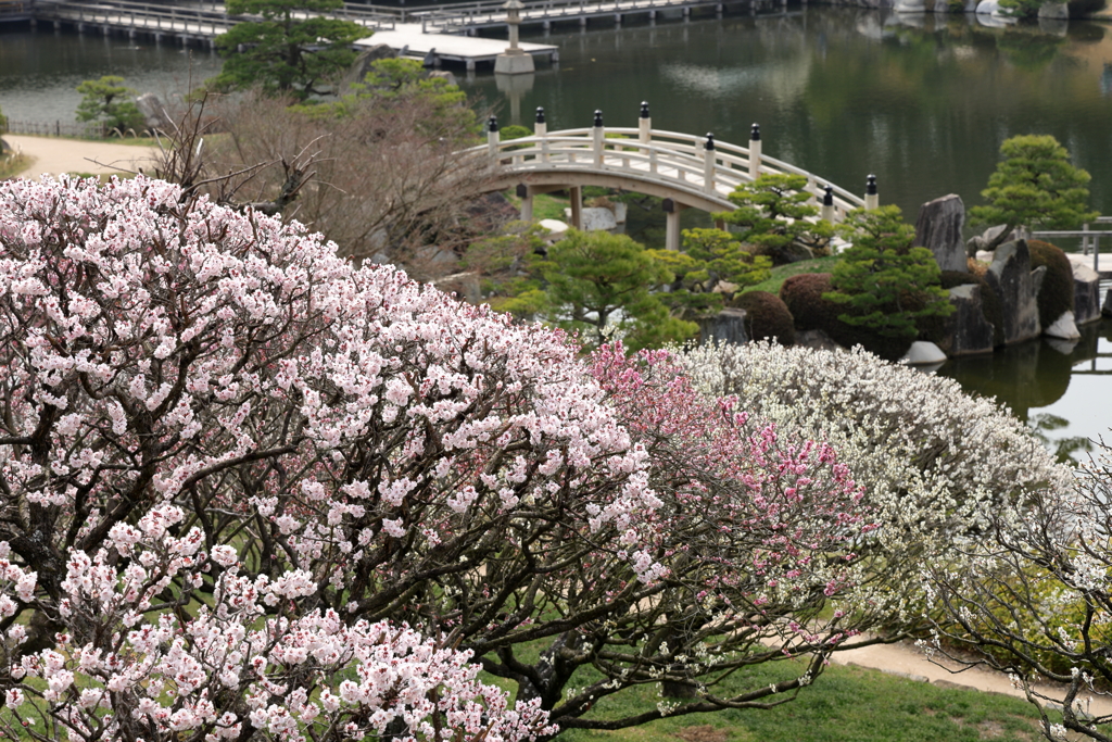 三景園 (3) 250327-813