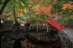 今高野山龍華寺 (1) 251121-211