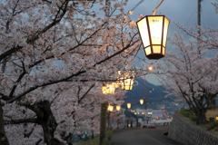 夜桜 220331-1004