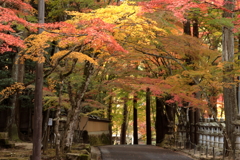 佛通寺(2) 191114-261