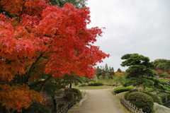 三景園もみじ祭り(8) 16.11.10