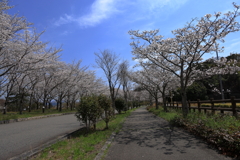 バンブージョイハイランド (2) 250404-905