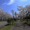 バンブージョイハイランド (2) 250404-905