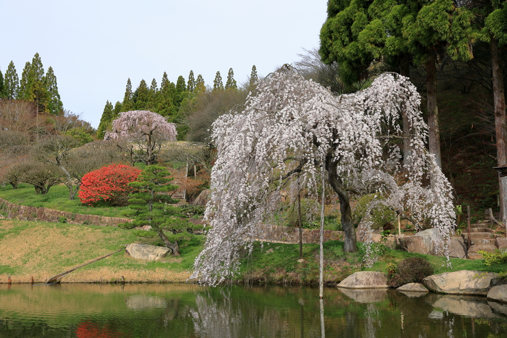 三景園 (1) 240402-878