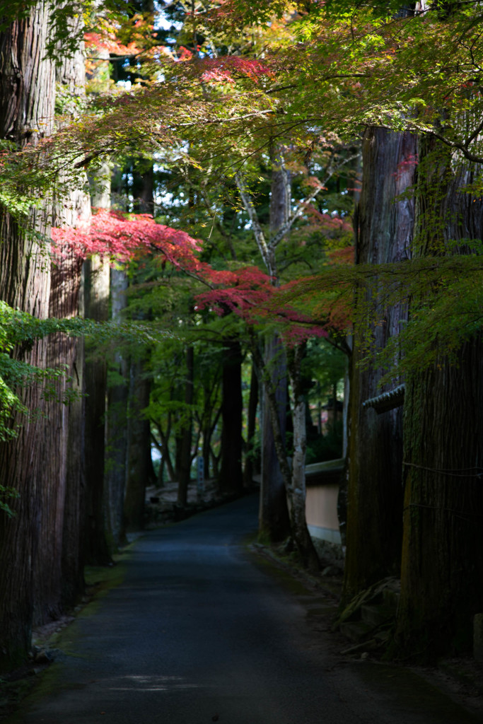佛通寺(3) 16.11.09