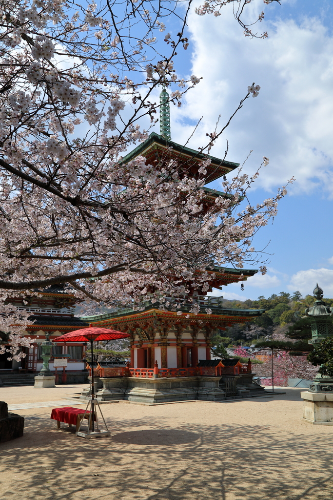 耕三寺桜まつり(2) 200402-926