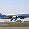 ANA (3) 250513-710