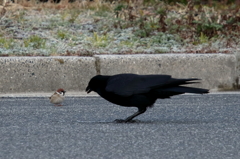 おはよう！元気！