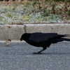 おはよう！元気！
