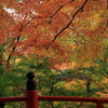 今高野 (8) 241122-267