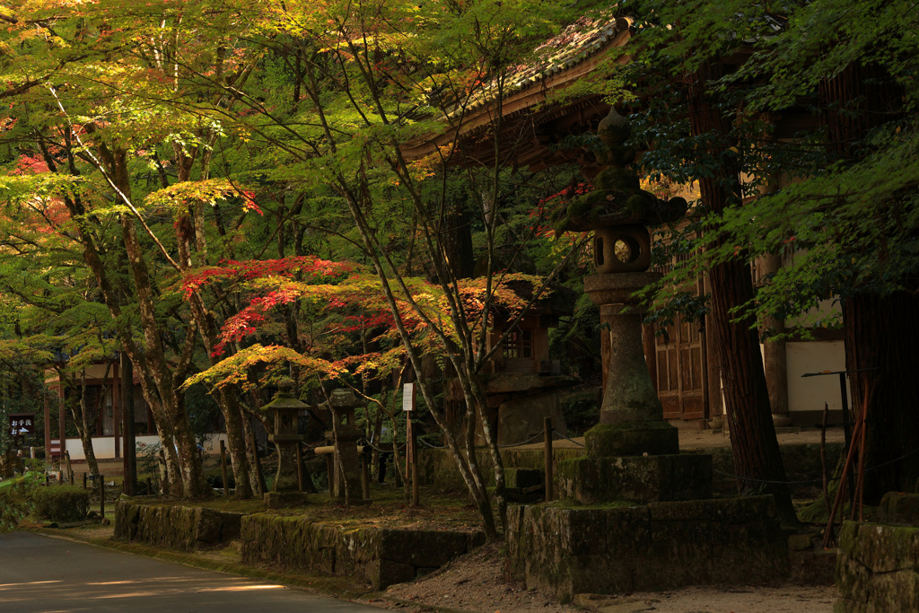 佛通寺 (2) 231102-187 