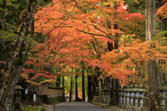 佛通寺紅葉 (3) 201110-291