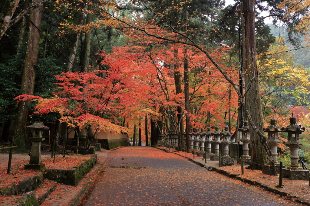 佛通寺 (2) 15.11.09