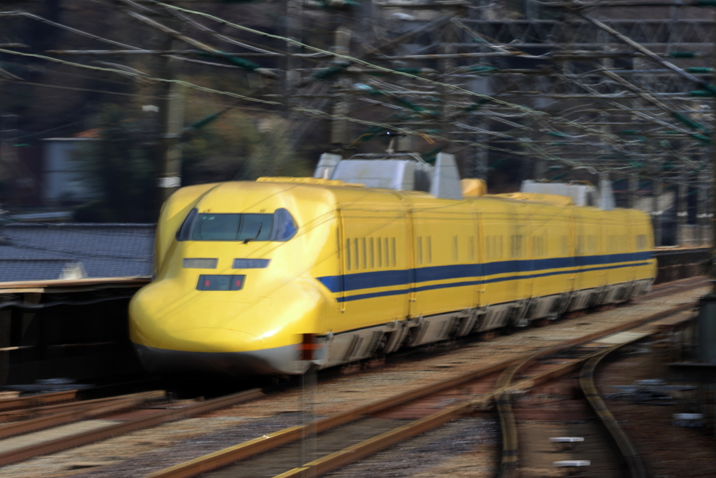 Happy  Yellow (1) 230119-077