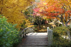 三景園 もみじ橋